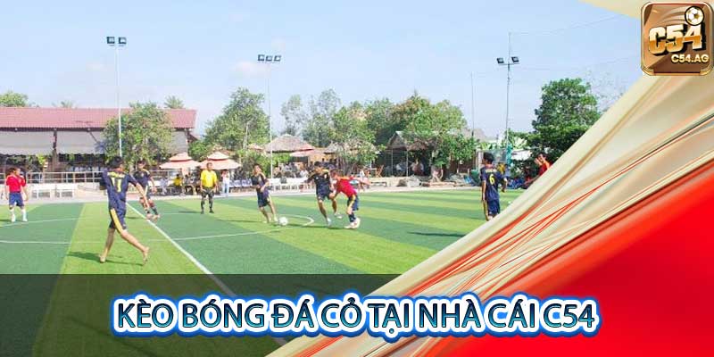 kèo bóng đá cỏ tại nhà cái c54