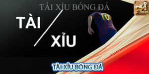 tài xỉu bóng đá